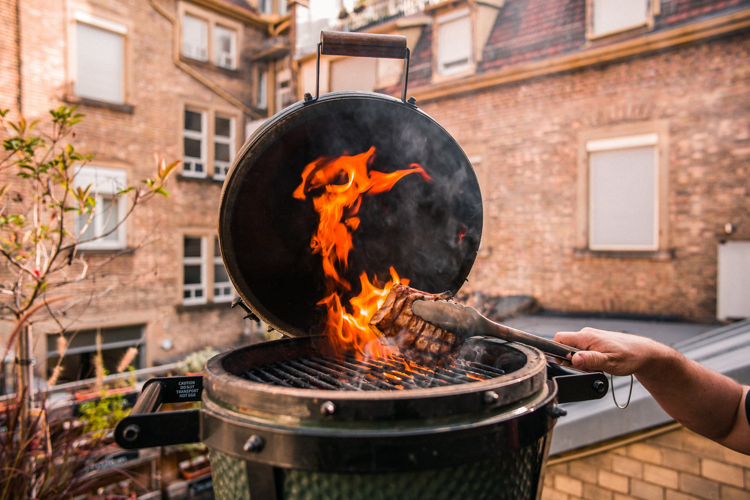 Big Green EGG